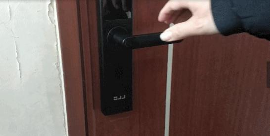 港澳新闻 第5页
